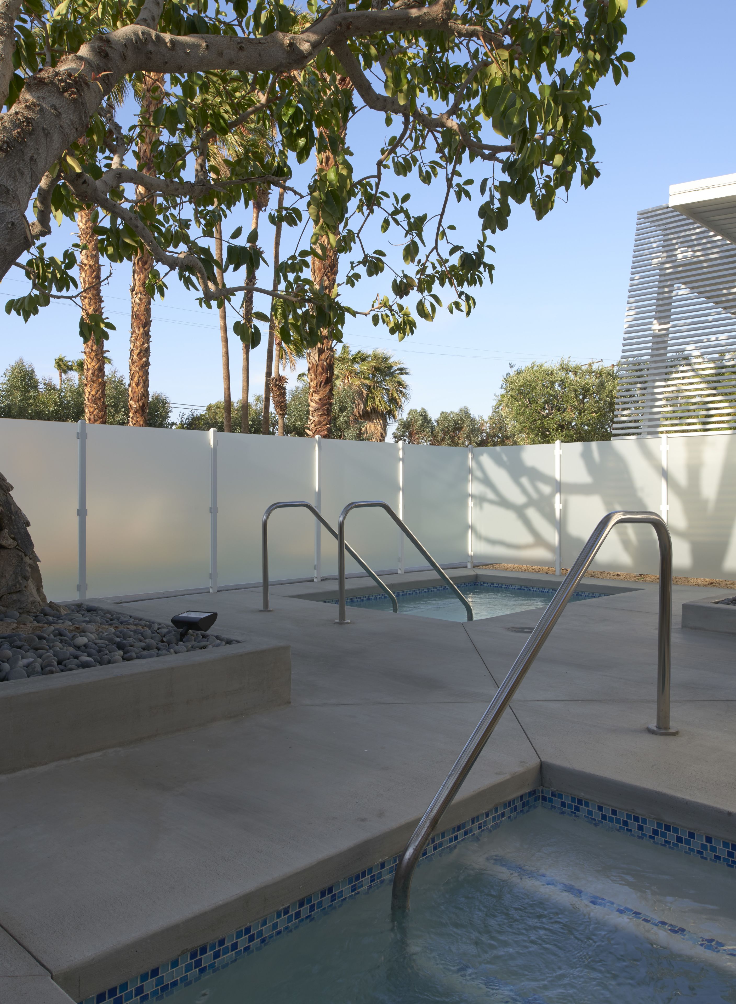 A swimming pool with metal railings, surrounded by a concrete deck, palm trees, and a white fence.