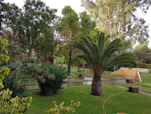 A well-maintained garden with various plants and trees, a central palm tree, and a stone bench.