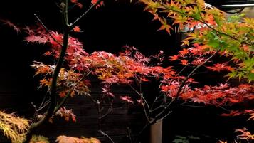 和室1 | 部屋からの景観