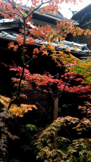 Japanese Style Room #1 | View from room - Kyoto Shirakawa Kiraku Inn - Hostel (Kyoto)