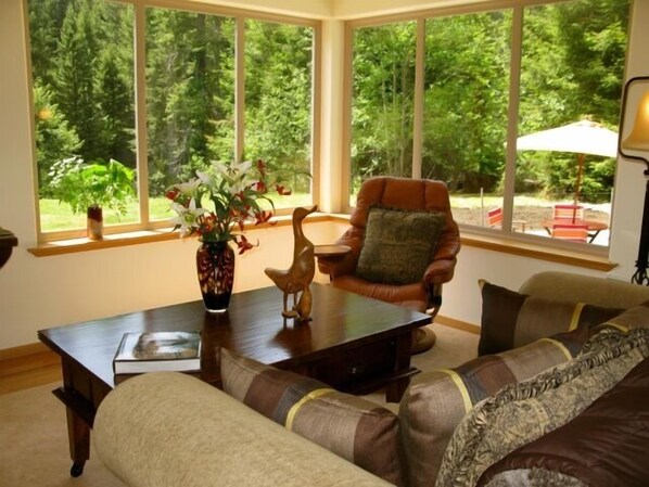 TV, DVD player, video library