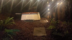 A rustic outdoor setting with a wooden structure, possibly a shed or storage, surrounded by mulch and ferns. - Beautiful, Warm & Welcoming-Redwoods, River, Beaches includes Hot tub (Arcata)