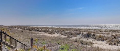 Playa en los alrededores