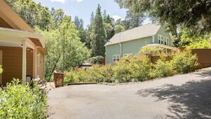 A residential property with a paved driveway, a covered porch, and a house surrounded by dense greenery.
