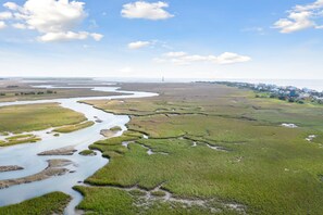Miscellaneous - Ocean, Marsh, & River Views! Dock For Fishing & Sunsets (Folly Beach)