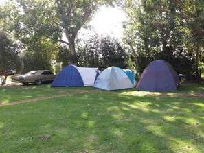 Exterior - Mahia Beach Motel and Holiday Park (Mahia)