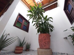 Terrace/patio - Hostel Santander Aleman Terrace Vista (San Gil)