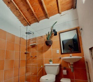 A bathroom with orange tiles, a wooden ceiling, a glass shower enclosure, a toilet, a sink, and a mirror. - Hostel Santander Aleman Terrace Vista (San Gil)