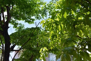 庭園