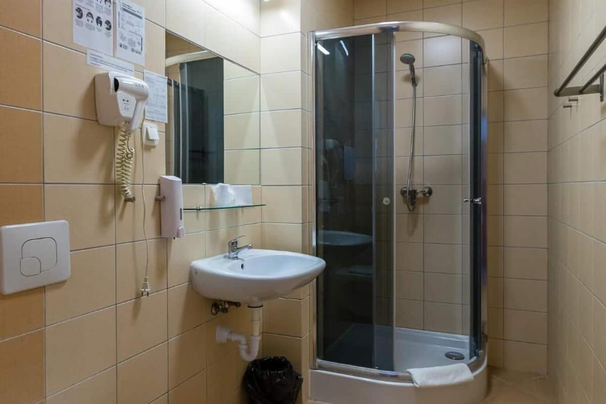 shower, free toiletries, hair dryer, towels