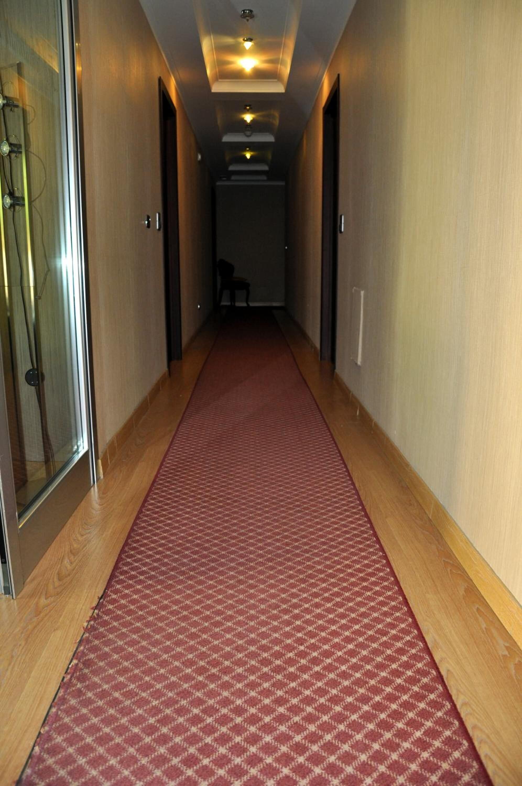 A hallway with a red patterned carpet, wooden walls, and a glass door on the left.