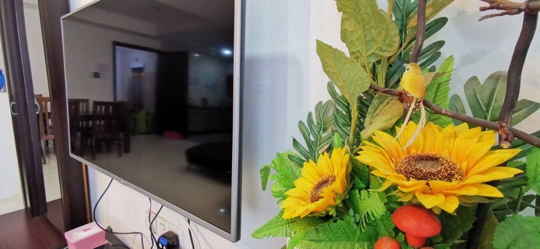 A television mounted on a wall with a decorative arrangement of sunflowers and a bird.