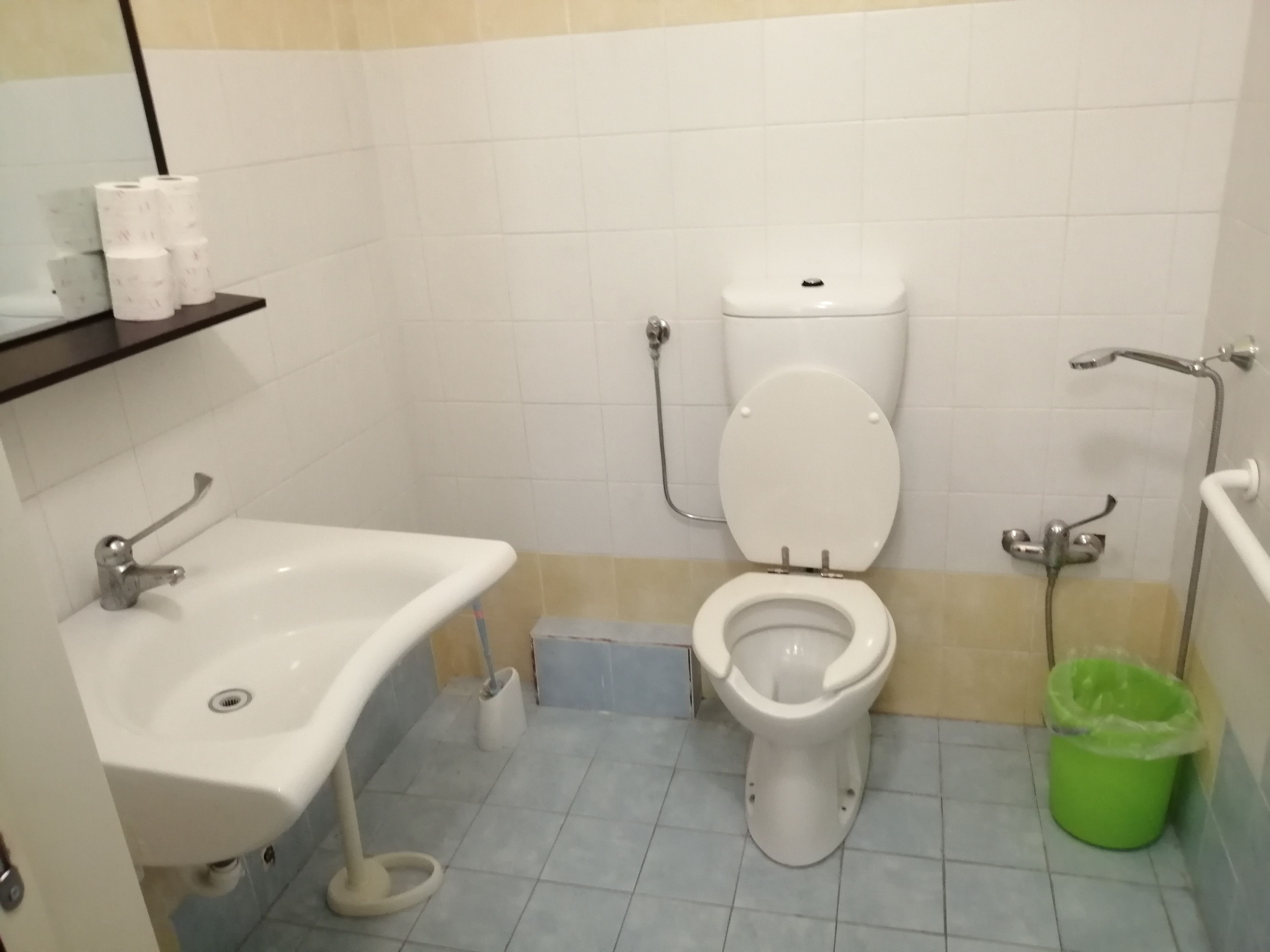 Een badkamer met toilet, wastafel en douche.