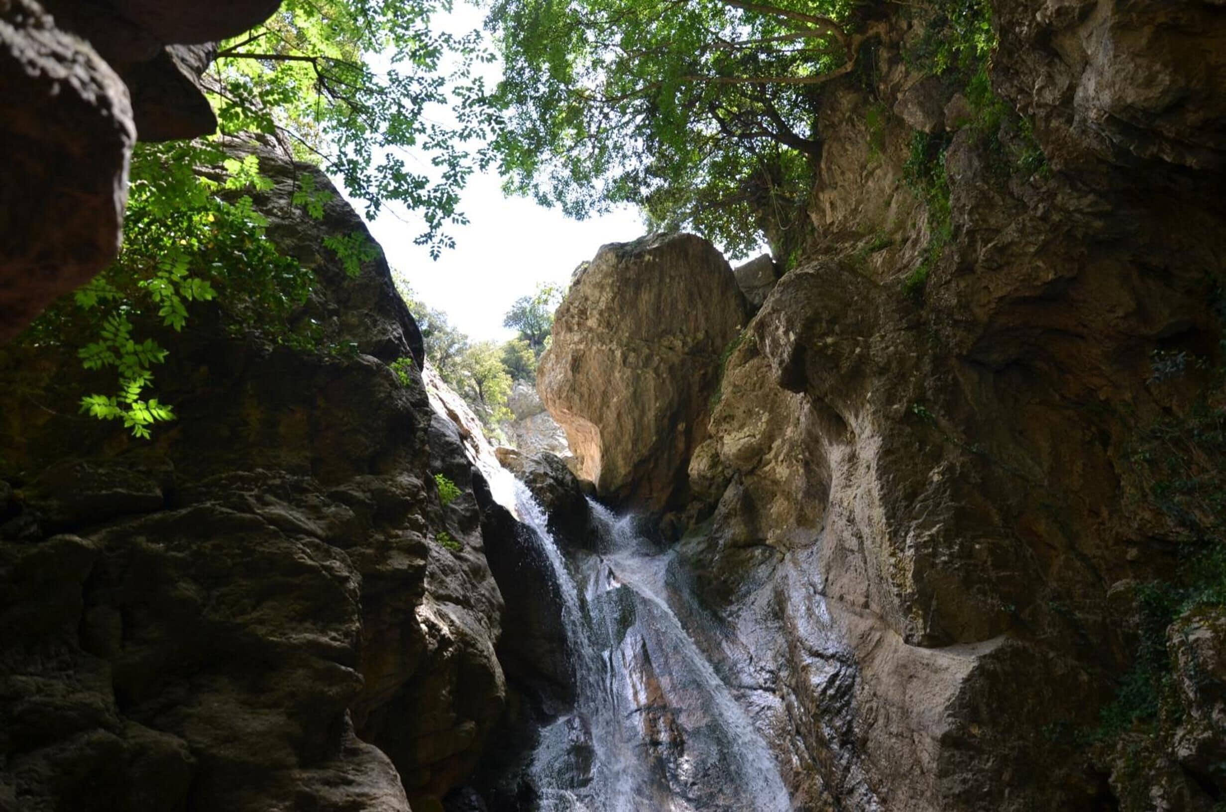 Un cascada en un congost rocos amb vegetació densa.