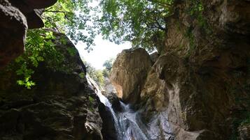 Un cascada en un congost rocos amb vegetació densa.