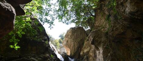 Una cascada en un cañón rocoso con abundante vegetación.