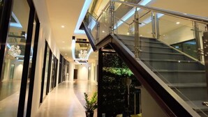 A modern indoor corridor with a glass railing staircase, a chandelier, and a potted plant.