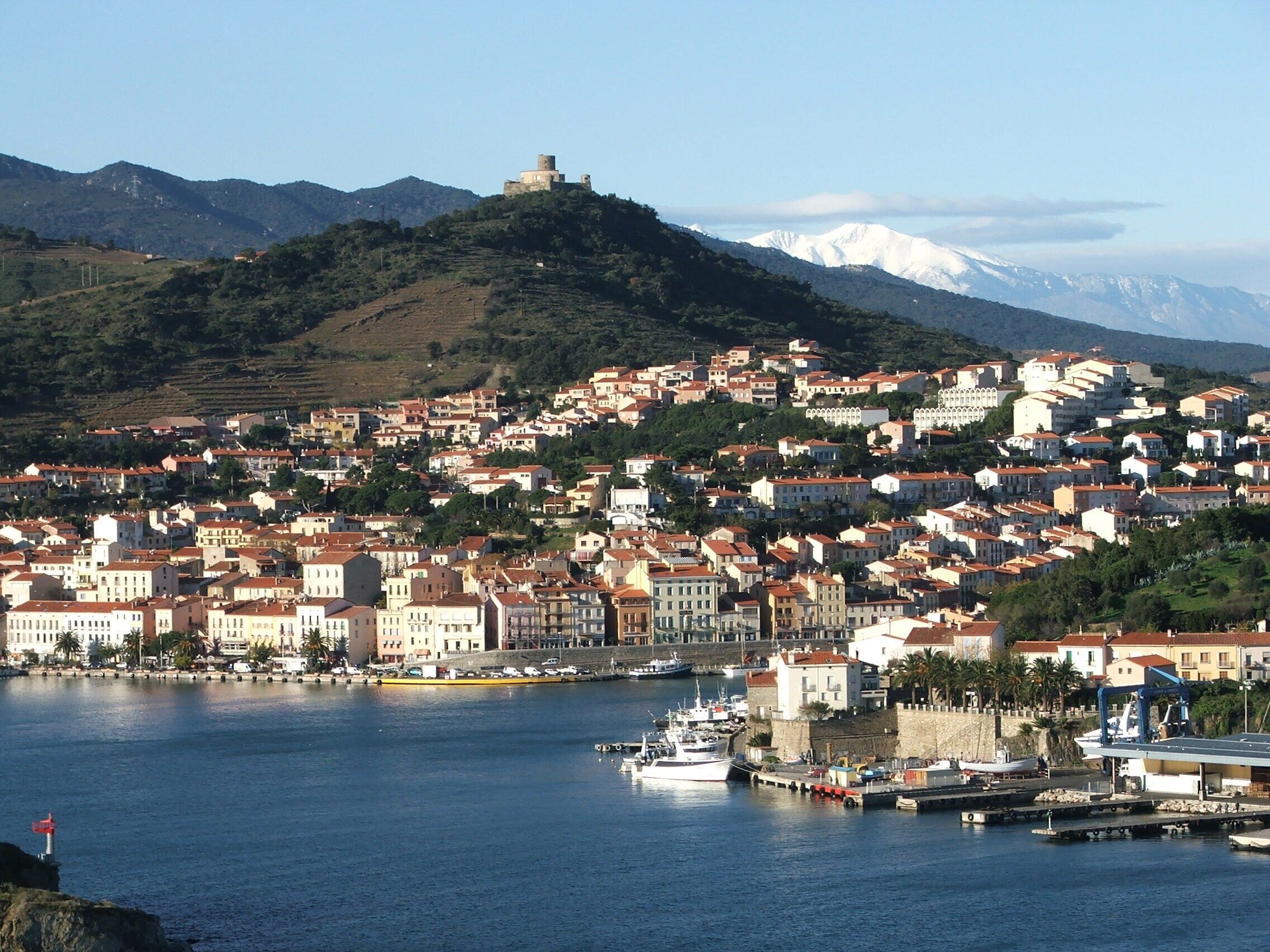 Un pueblo costero con un castillo histórico en una colina, un puerto deportivo lleno de barcos y edificios densamente poblados con tejados de tejas rojas.
