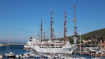 A marina with multiple boats, including a large ship and smaller vessels.