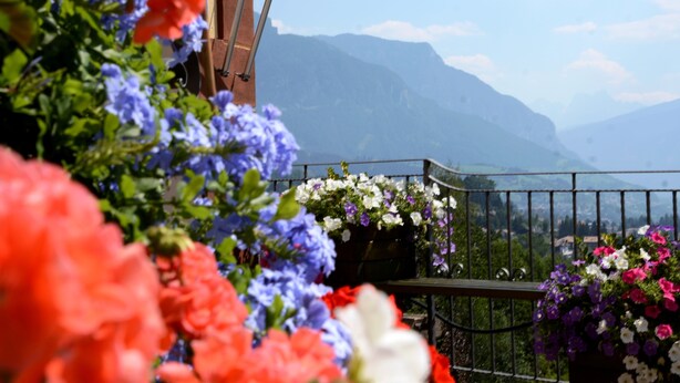 Ein Balkon mit Blick auf Berge und einen Garten voller Blumen.