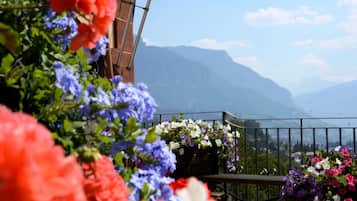 Vista montagna