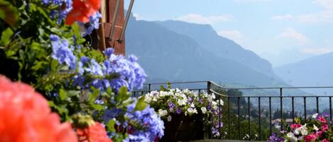 Vue sur les montagnes