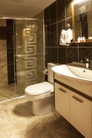 标准双 人房或双床房 | 浴室 | 淋浴设施、免费洗浴用品、吹风机、毛巾