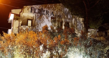 住宿正面 - 傍晚/夜晚