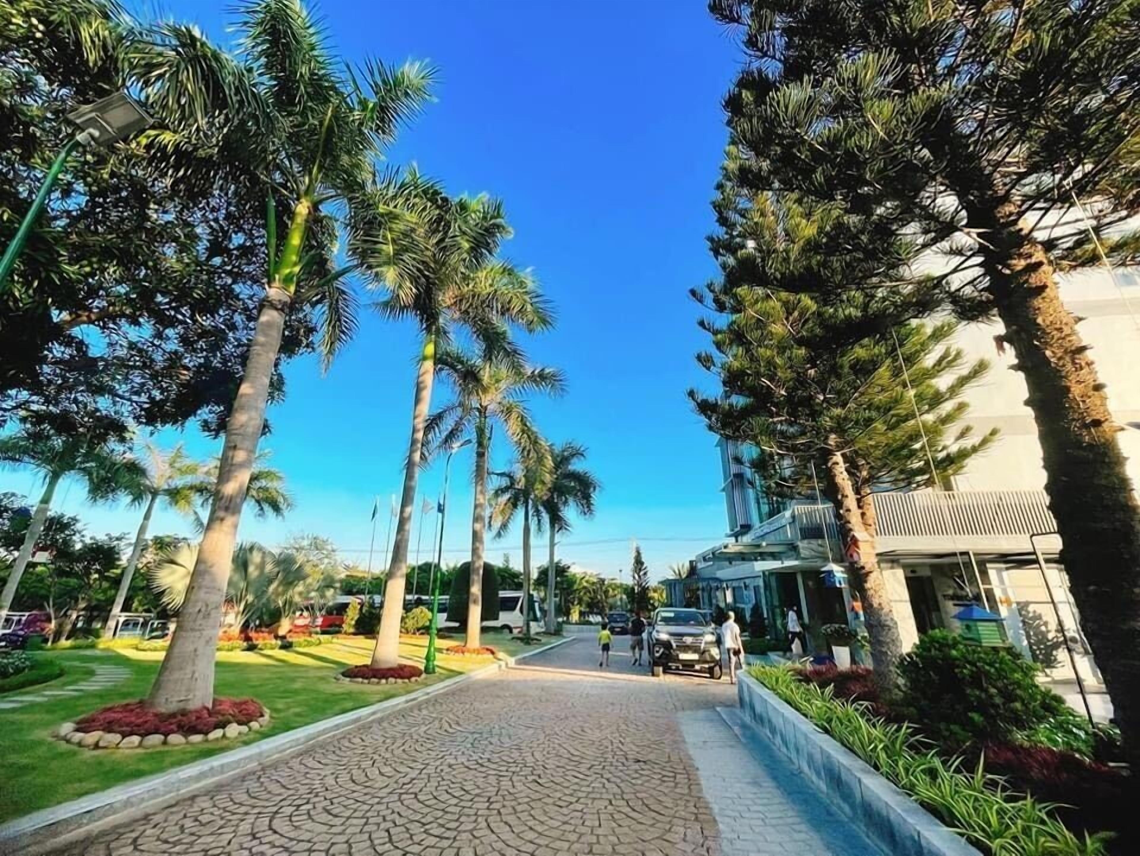 A paved pathway lined with palm trees and a building with a modern design.