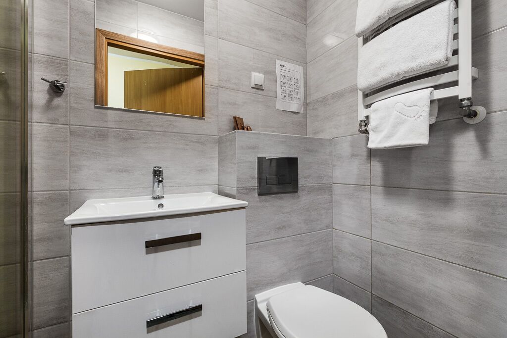 economy twin room, ground floor (indoor ice rink view) | bathroom | shower, free toiletries, hair dryer, towels