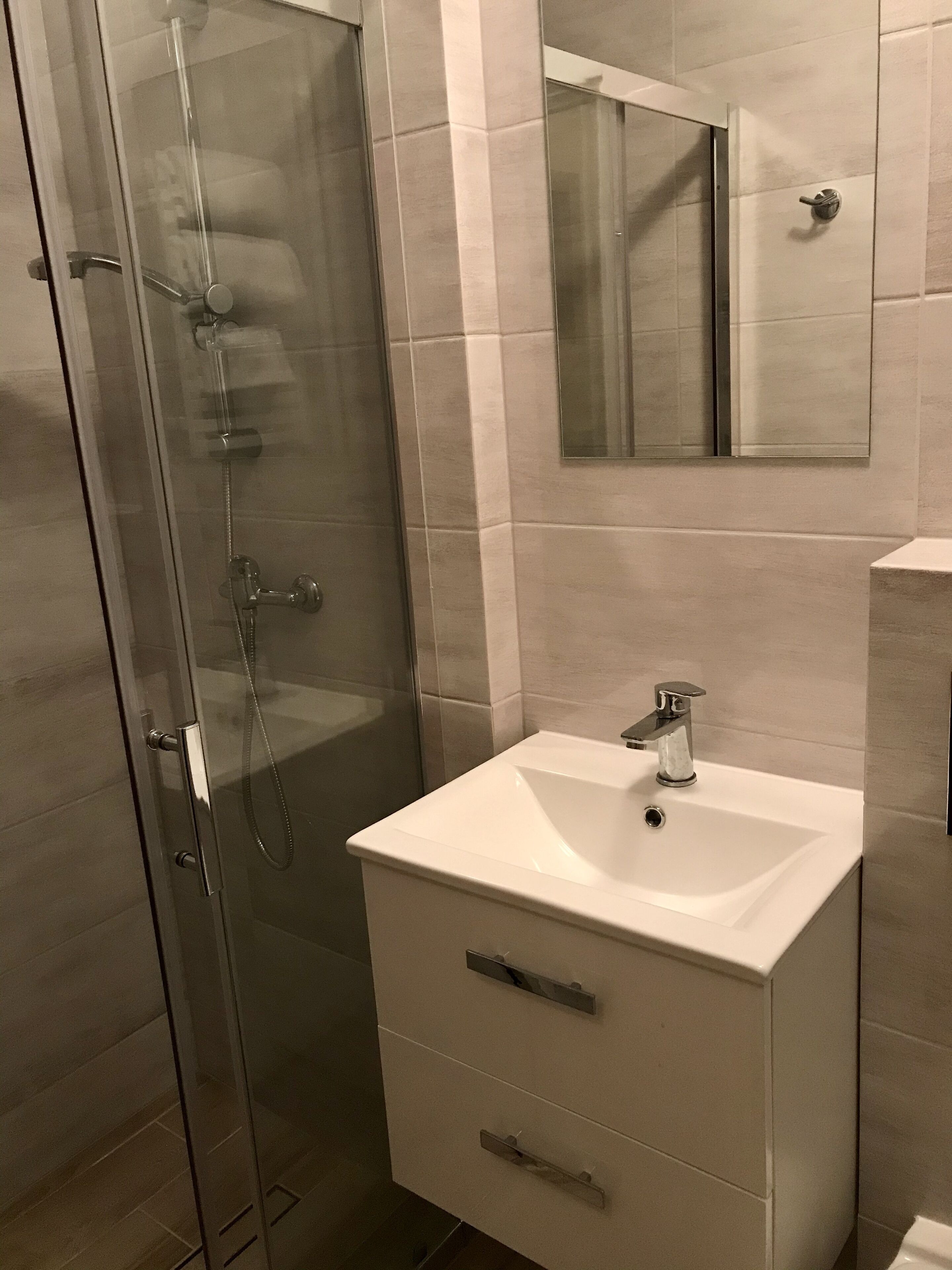 economy twin room, ground floor (indoor ice rink view) | bathroom | shower, free toiletries, hair dryer, towels