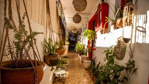 Passadís estret amb plantes penjants i testos a banda i banda.