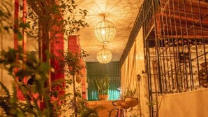 Passadís amb paviment de rajoles estampades, llums de vimet penjants i plantes en testos.