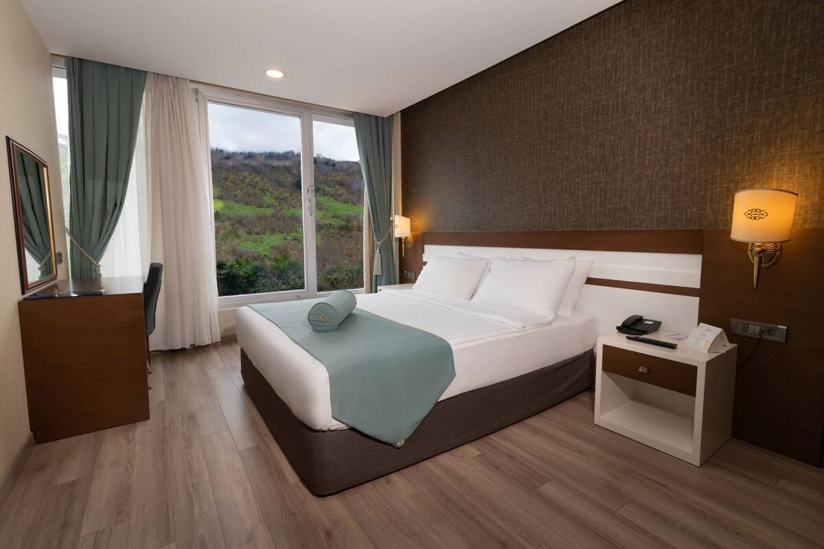A hotel room with a large bed, a desk, a chair, a nightstand with a phone, and a view of the outdoors.