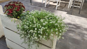 Un patio con un banco blanco y dos macetas con flores.