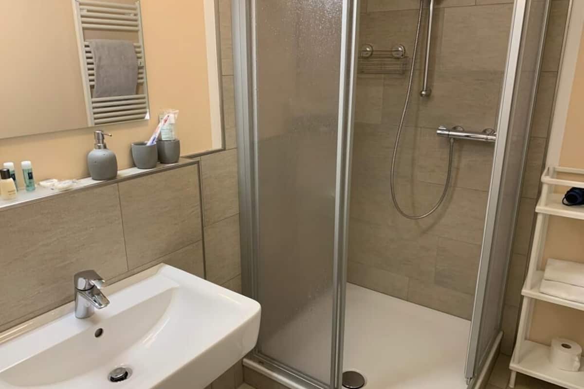 shower, free toiletries, hair dryer, towels