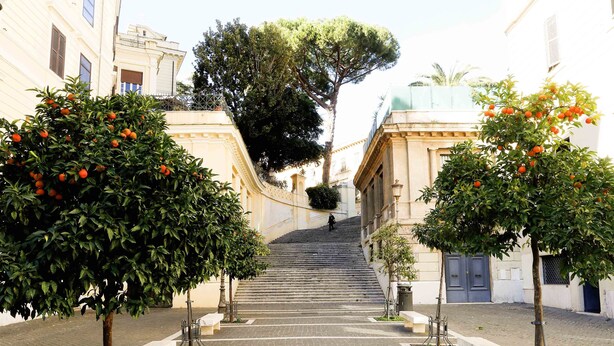 A paved street with trees bearing fruit, a staircase leading up to a building, and a clear sky. - Coliseum Suite (Rome)