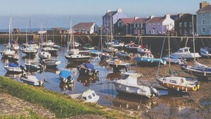 A harbor with numerous boats docked, a grassy area in the foreground, and buildings in the background. - Rock Mill (Llandysul)