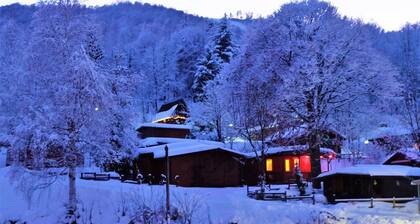 Camping Yoghi e Bubu