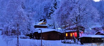 Camping Yoghi e Bubu