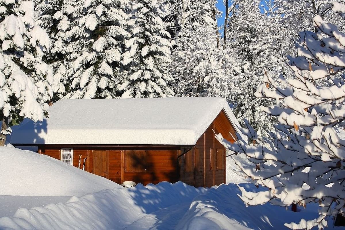 Una cabaña de madera con tejado nevado, rodeada de árboles cubiertos de nieve.