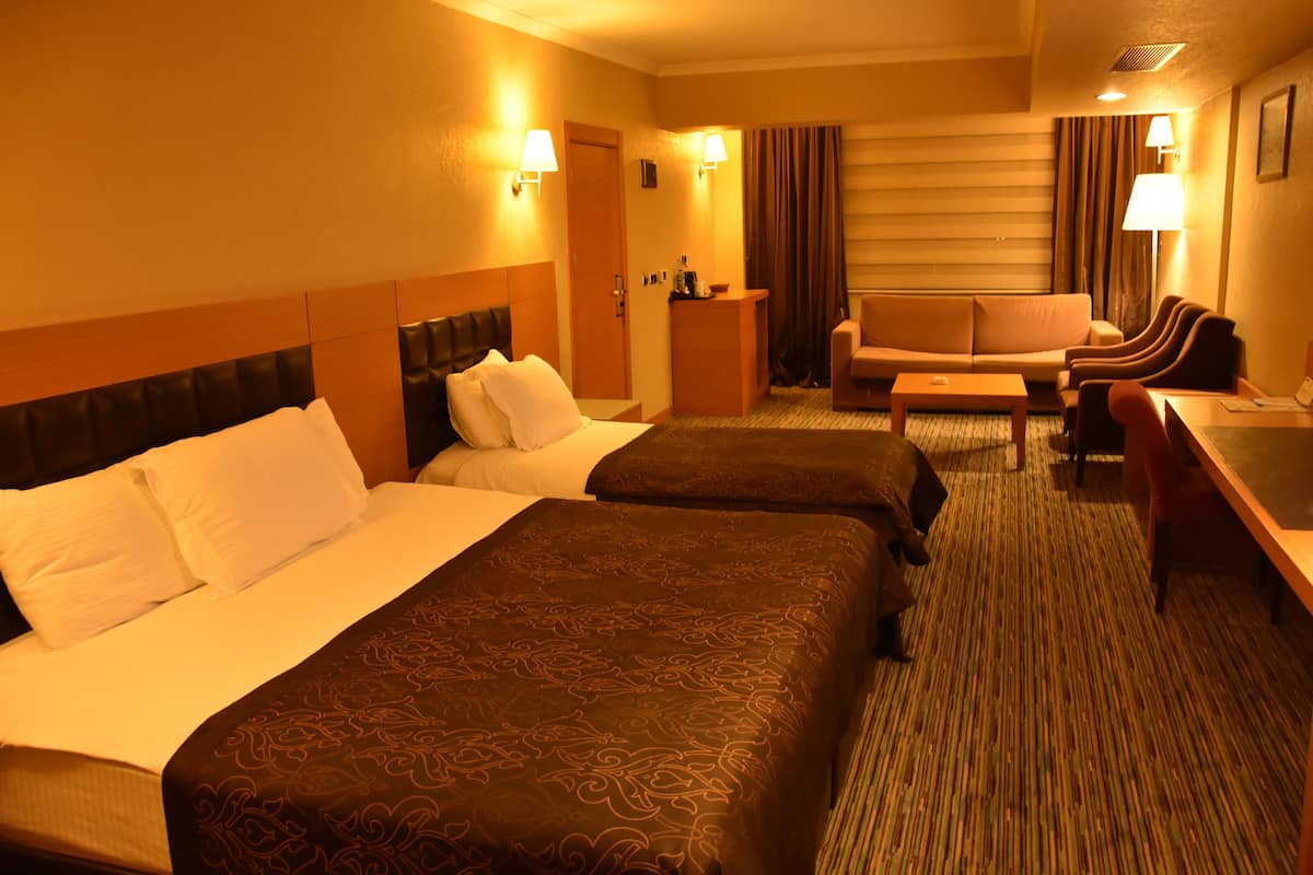suite | in-room safe, desk, free wifi, bed sheets