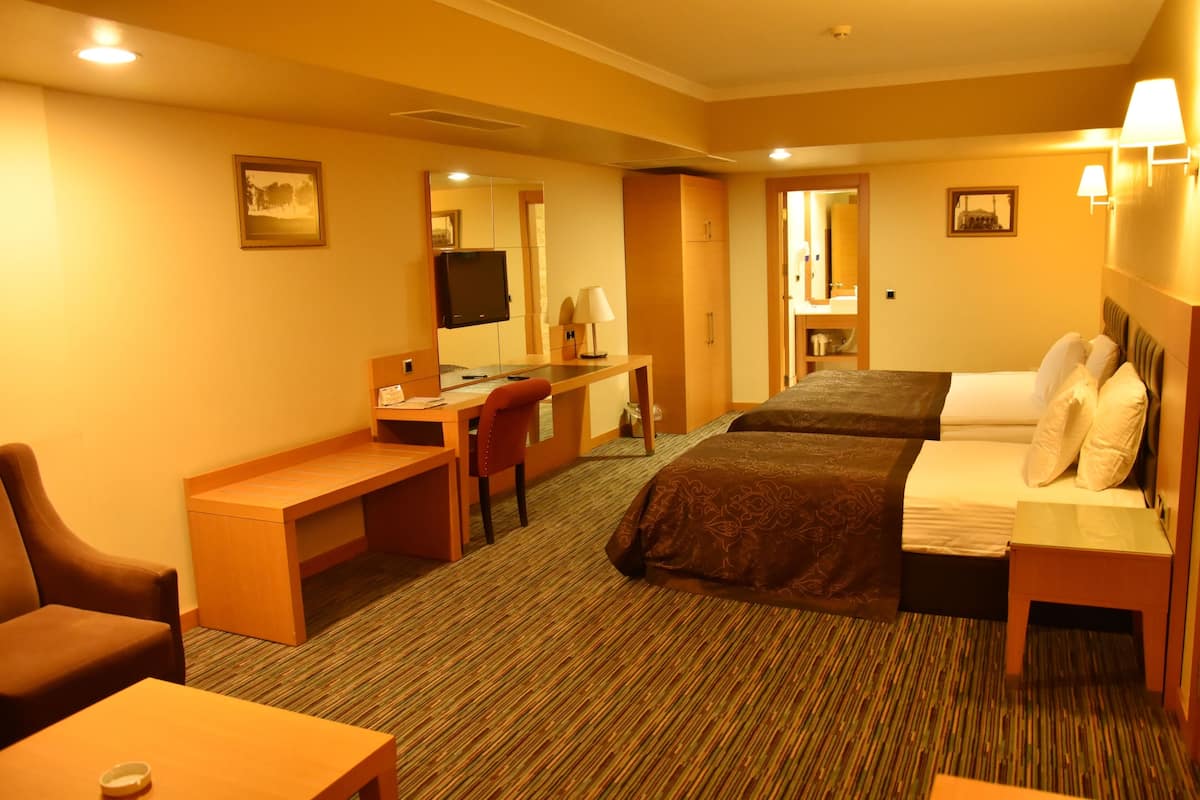 A hotel room with a bed, a desk, a chair, a TV, and a mirror.