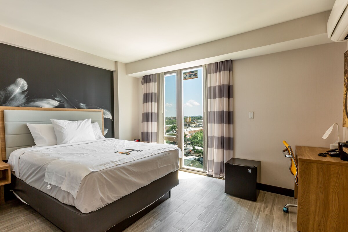 Standard Room, 1 Queen Bed, Non Smoking, Private Bathroom (Queen with Sofa Bed) | In-room safe, desk, laptop workspace, blackout drapes