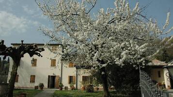 Facciata della struttura