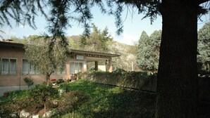 Taman