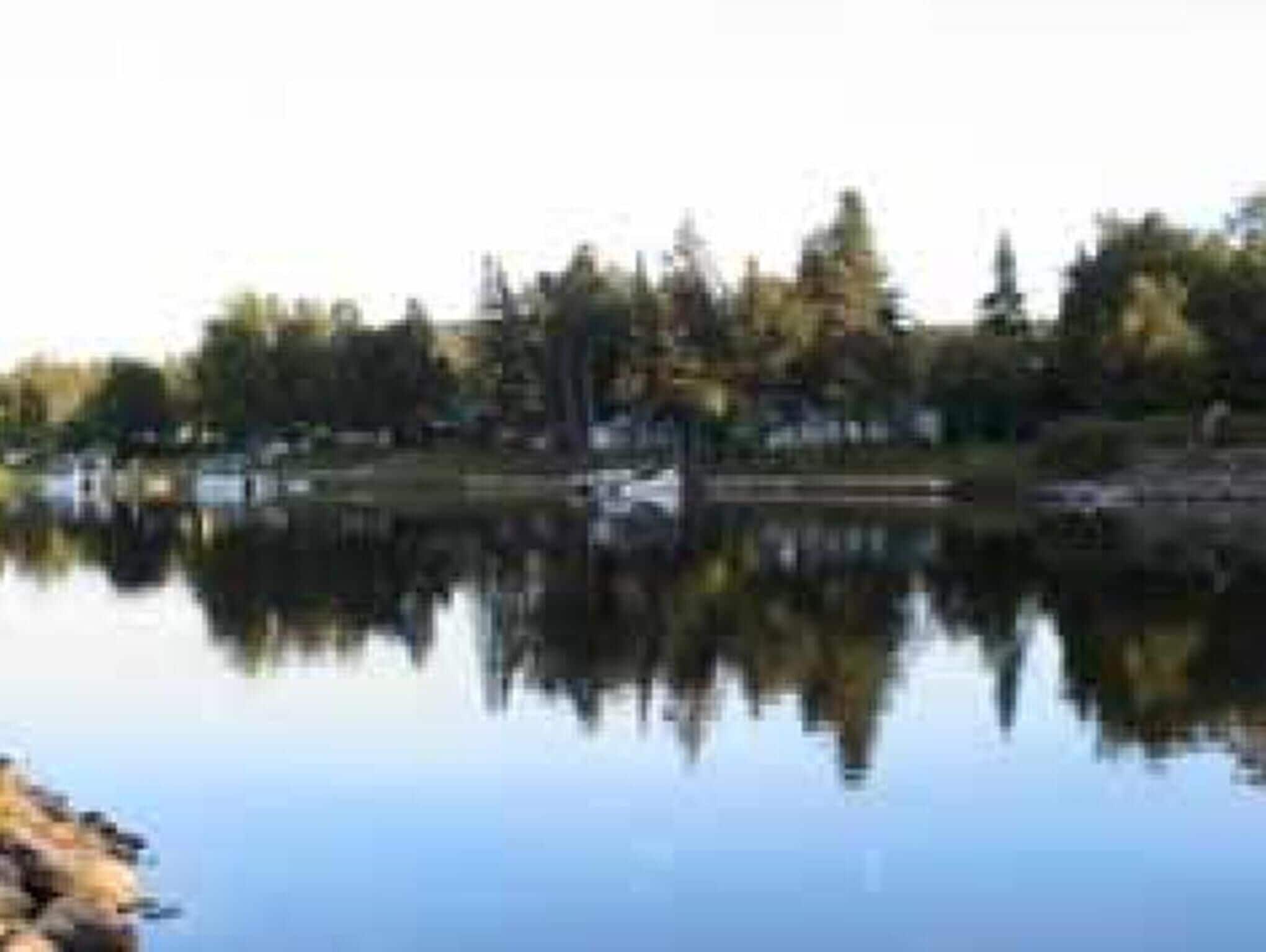 Un lago tranquilo con reflejos de árboles y un muelle.