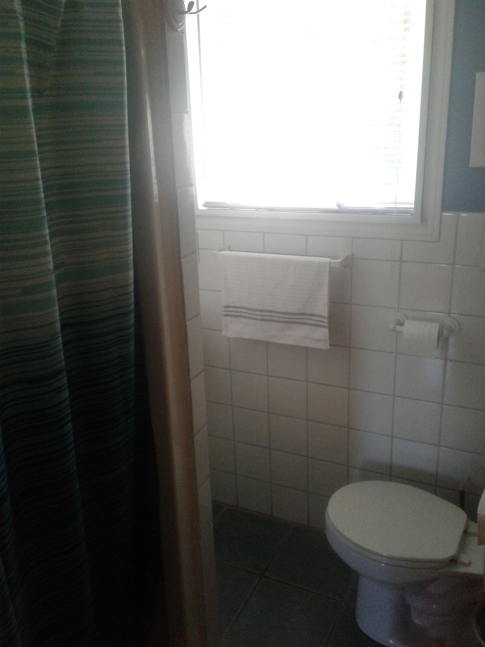 Une salle de bain avec des toilettes, une serviette accrochée au mur et une fenêtre.