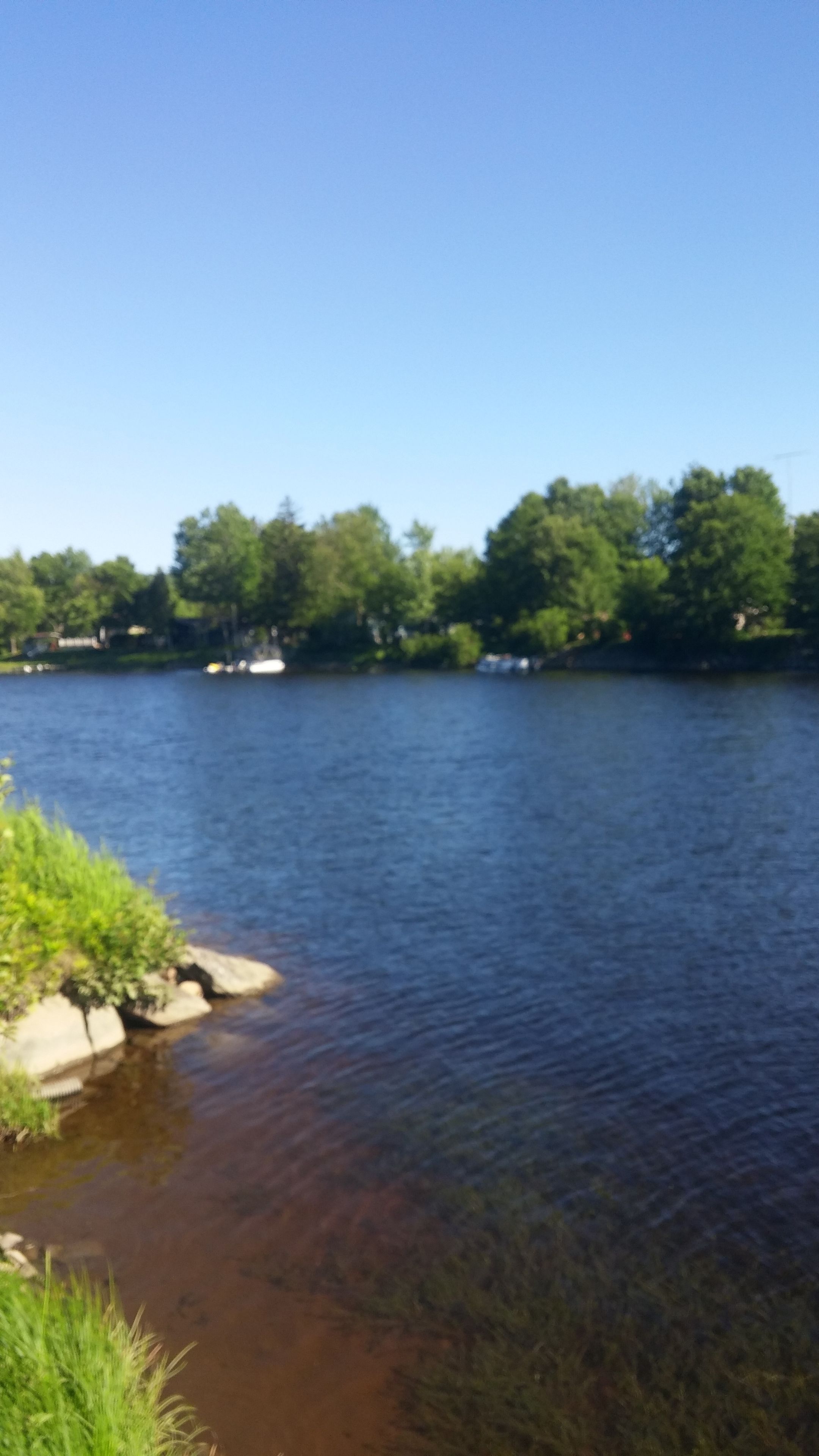 A calm river with clear water, surrounded by green trees and a clear blue sky.