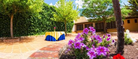 A courtyard with a tiled floor, a table with a yellow and blue tablecloth, and purple and red flowers.